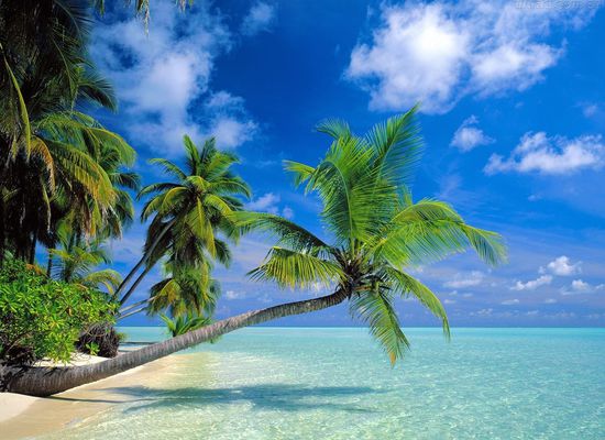 Port Blair to Havelock Island.