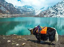 Excursion to Tsomgo ( Changu ) Lake & New Baba Mandir.