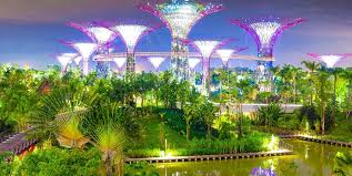 Half Day Excursion at Garden by the Bay & Evening Night Safari with Dinner.