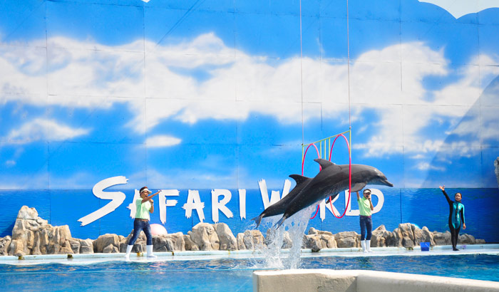 Full Day Safari World & Marine Park Excursion with lunch.