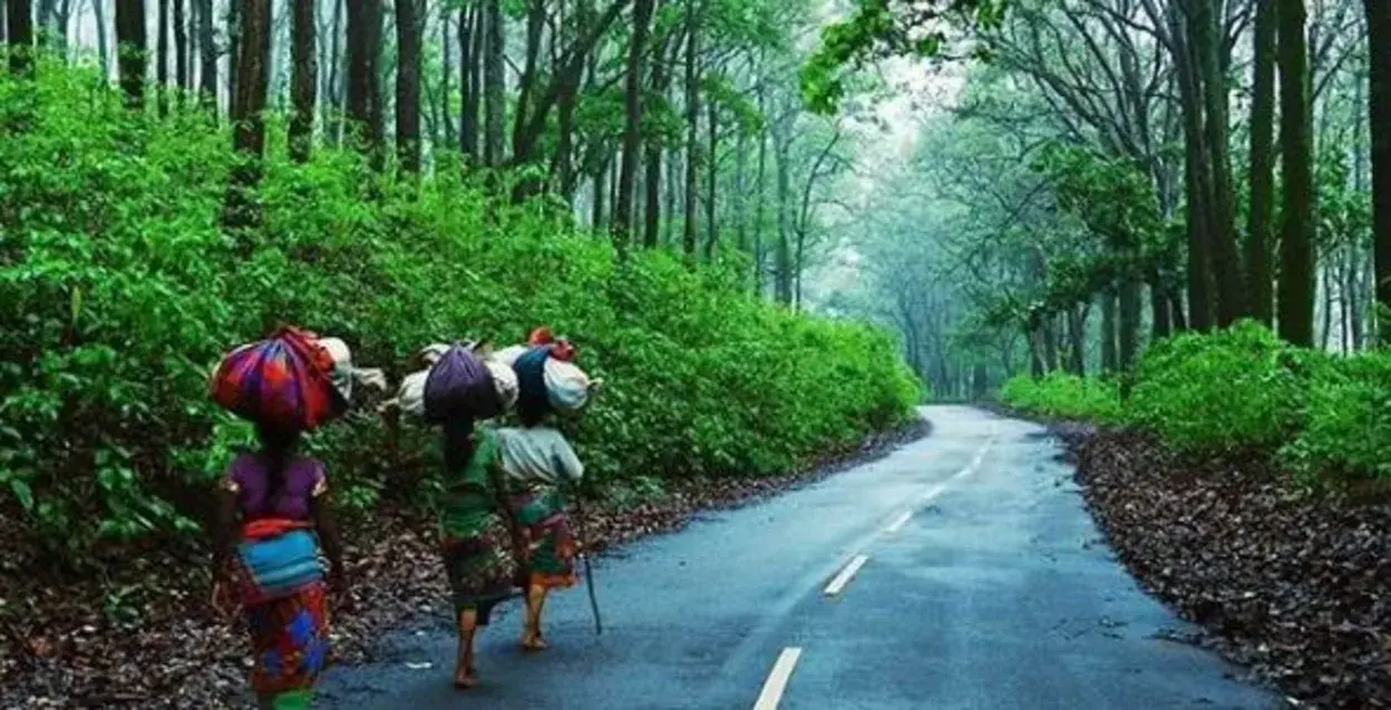 Ranchi – Kolkata (Train/Flight)
