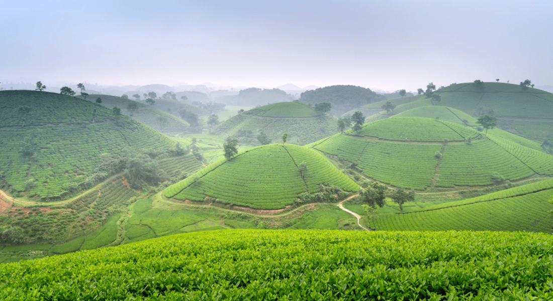 Araku Valley ➜ Visakhapatnam & Vizag Local Sightseeing.