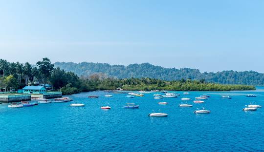 Havelock