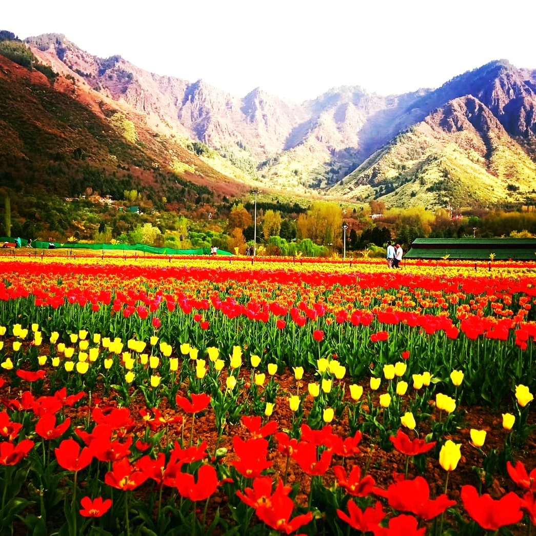 Srinagar