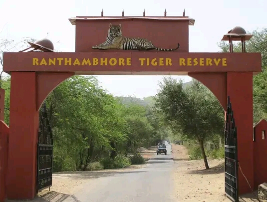 Ranthambore