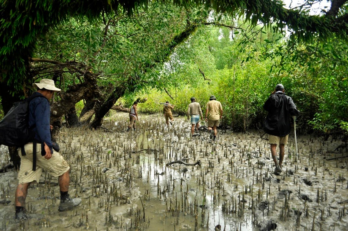 Sundarban